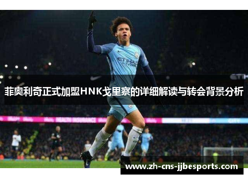 菲奥利奇正式加盟HNK戈里察的详细解读与转会背景分析